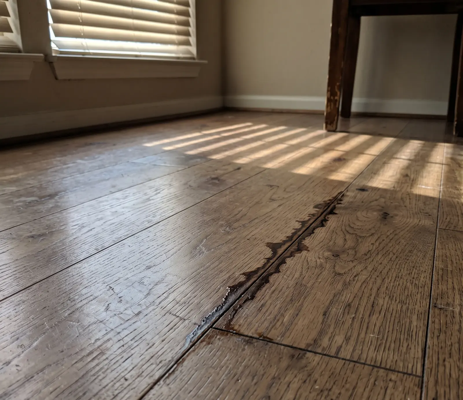 Understanding Hollywood's High Water Table and Home Drainage