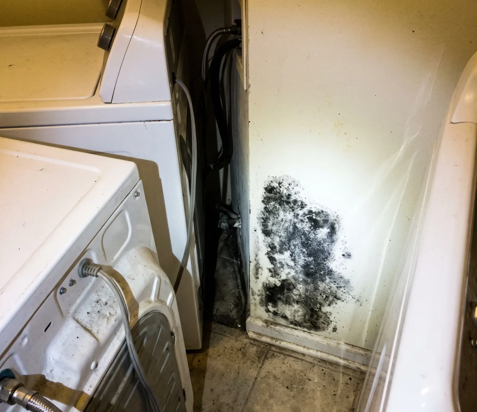AC Condensate Line & Appliance Overflow Cleanup in Hollywood, FL