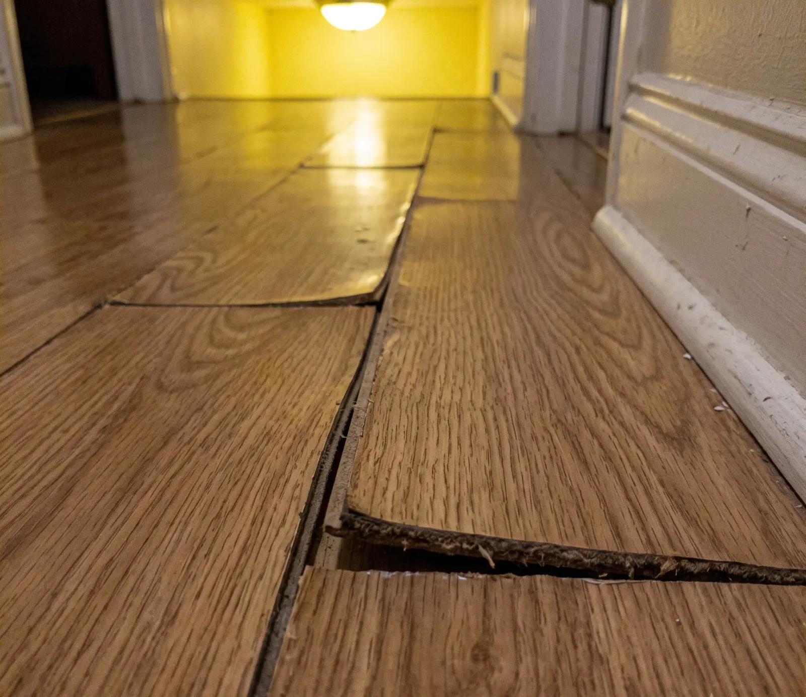 Filing a Water Damage Insurance Claim in Hollywood, FL