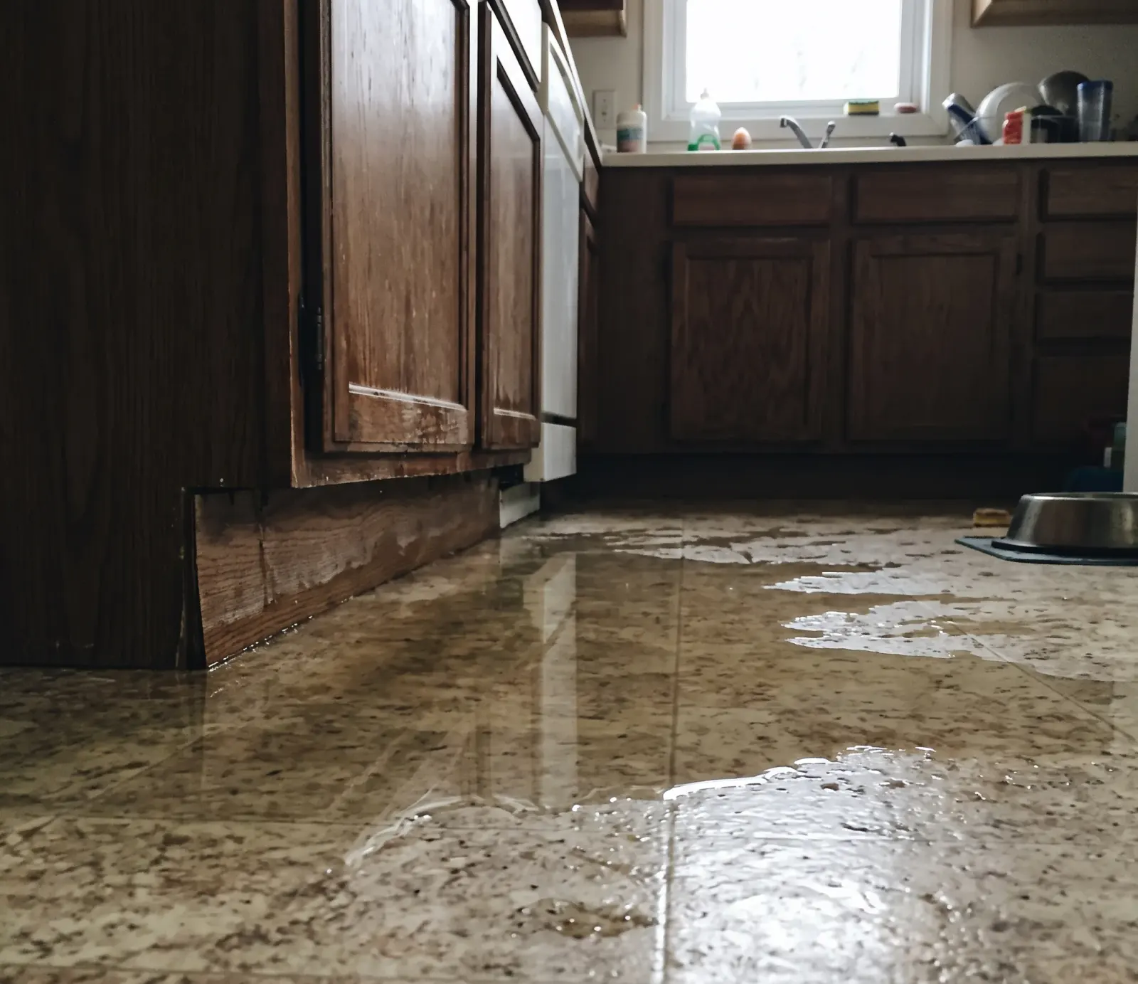 Water Damage Response for Hollywood Restaurants